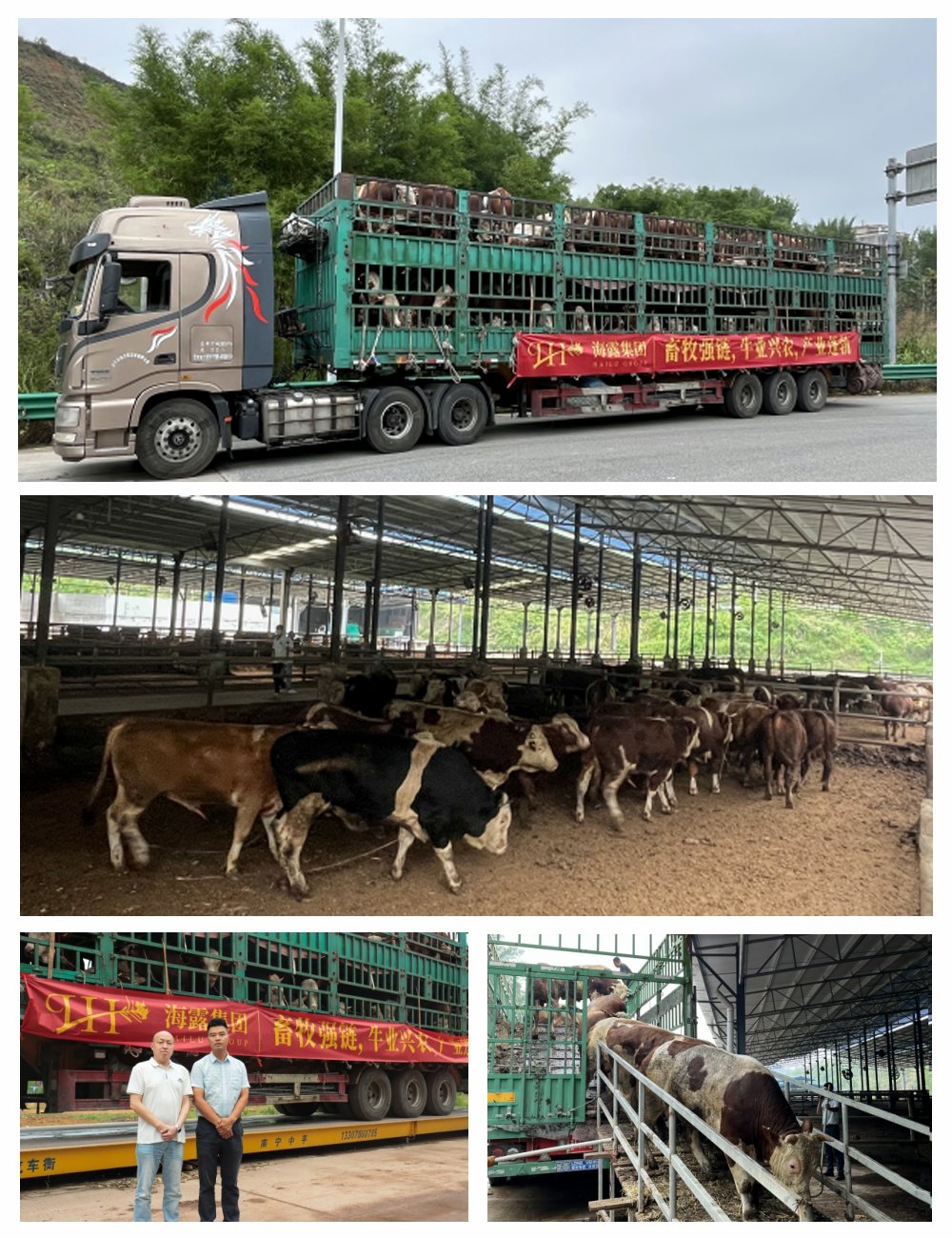 首页| J9集团国际站官方网站