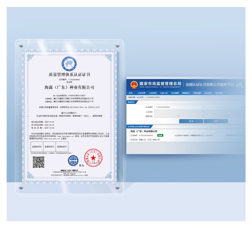 首页| J9集团国际站官方网站