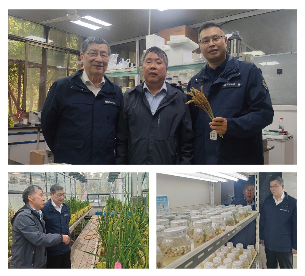 首页| J9集团国际站官方网站