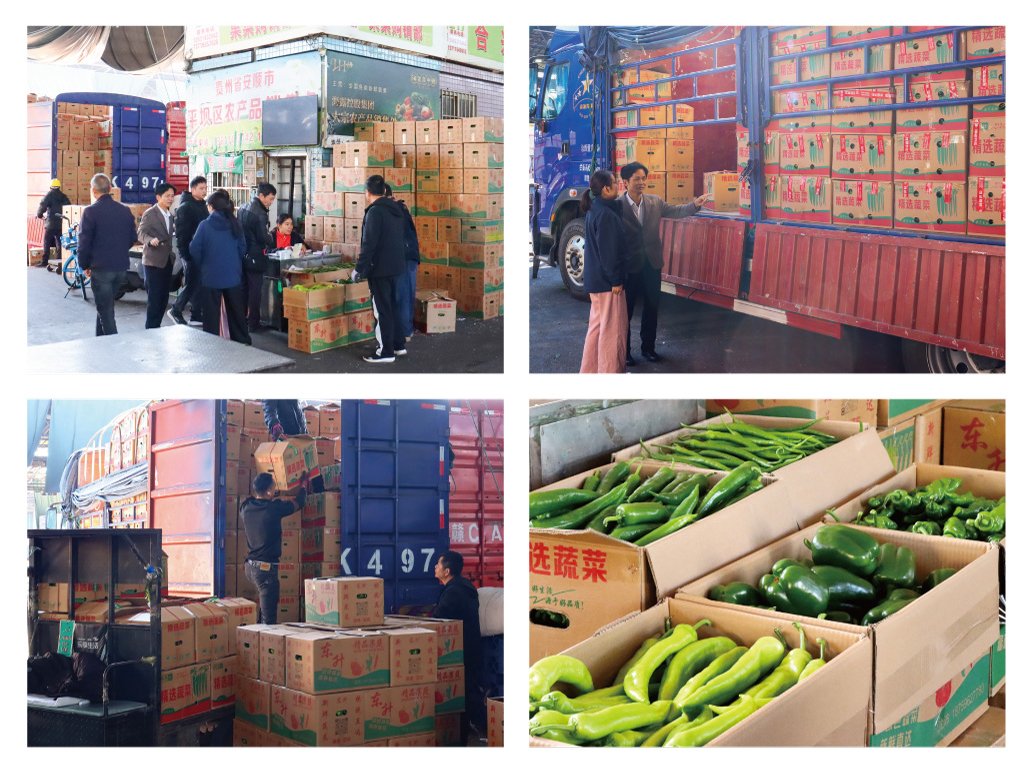 首页| J9集团国际站官方网站